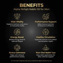 ved-sanjeevani-alpha-shilajit-nabhi-oil--610U1KON6TL.jpg