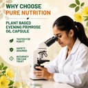 pure-nutrition-evening-primrose-oil-caps-71JGzZbxwiL.jpg