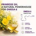 neat-everyday-evening-primrose-oil-capsu-71SYaiGXVIL.jpg