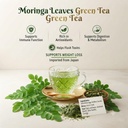 moringa-herbal-green-tea-natural-for-det-61or+DqS4bL.jpg