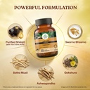 organic-india-shilajit-advance-capsules--819I+YVQpFL.jpg