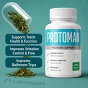 protoman-capsule-for-prostate-health-her-71tdlsMweKL.jpg