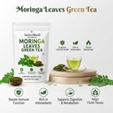 moringa-leaves-tea-moringa-green-tea-imm-61TdQQCyPlL.jpg