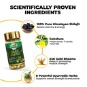 zandu-shilajit-shilajeet-gold-plus-capsu-61wG9E4gyOL.jpg