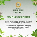 vlado-s-himalayan-organics-ginkgo-biloba-71TJI5IEB9L.jpg