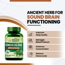 vlado-s-himalayan-organics-ginkgo-biloba-61FH0h6VTWL.jpg