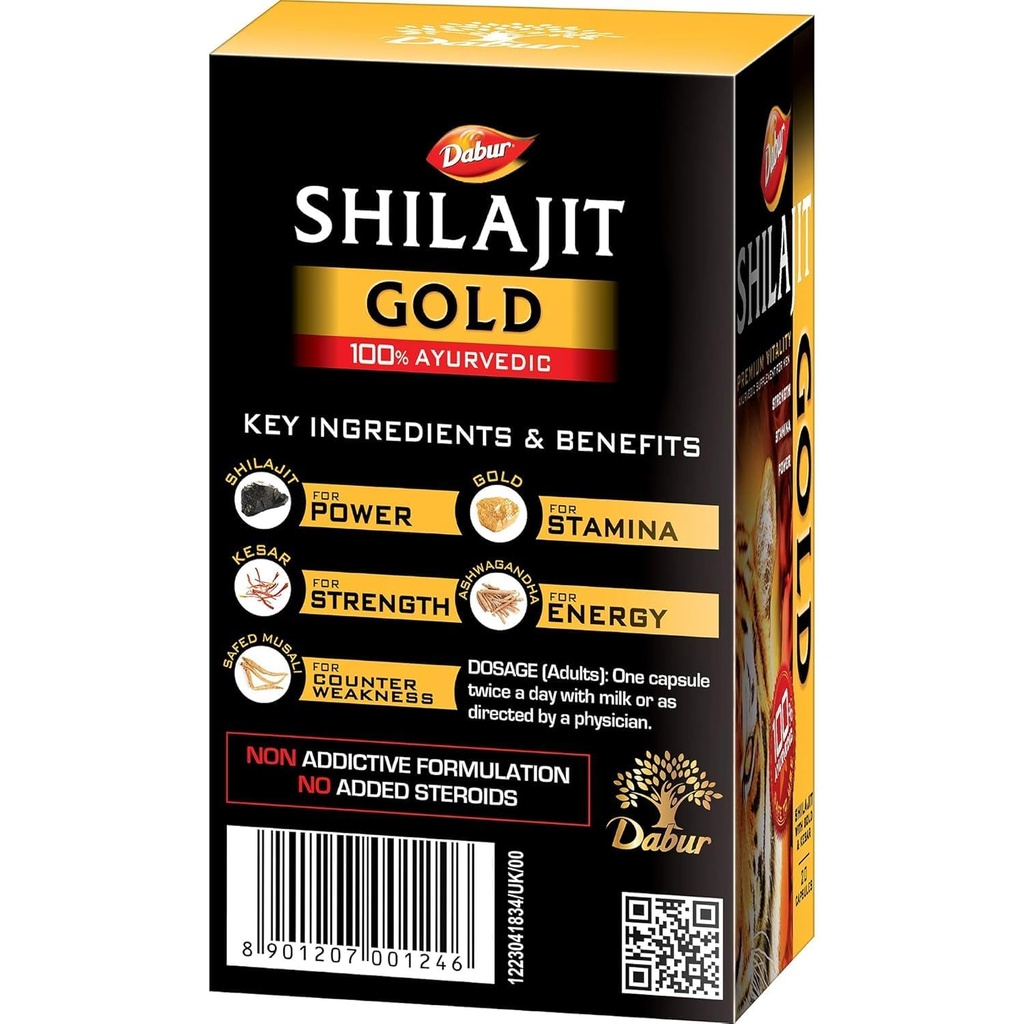 dabur-shilajit-gold-20-capsules-100-ayur-71Aay9SkhXL.jpg