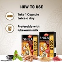 dabur-shilajit-gold-20-capsules-100-ayur-71ObaPSY3BL.jpg