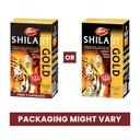dabur-shilajit-gold-20-capsules-100-ayur-71qRC96lCuL.jpg
