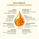 wellwith-by-ayuzera-turmeric-curcumin-oi-81pBO-5uJQL.jpg