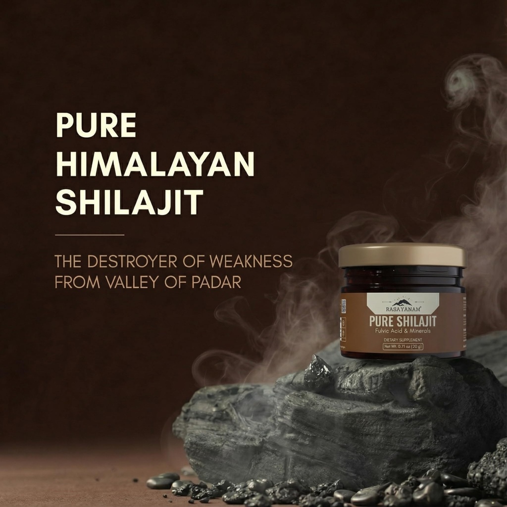 rasayanam-pure-himalayan-shilajit-resin--71p6BMwucrL.jpg