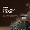 rasayanam-pure-himalayan-shilajit-resin--71p6BMwucrL.jpg