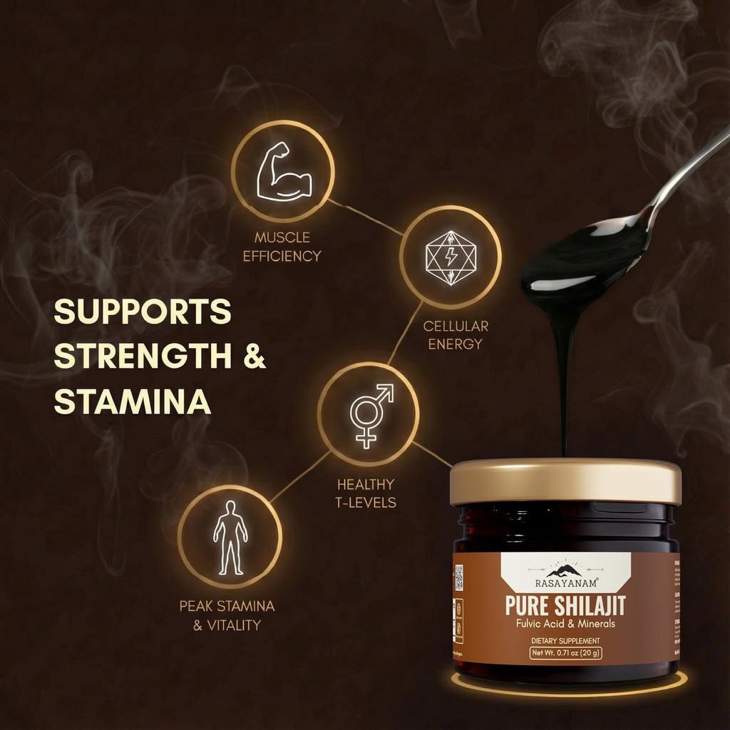 rasayanam-pure-himalayan-shilajit-resin--7143G+fvPVL.jpg