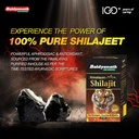 baidyanath-shilajeet-shilajit-50-tablets-813GRsgtUWL.jpg