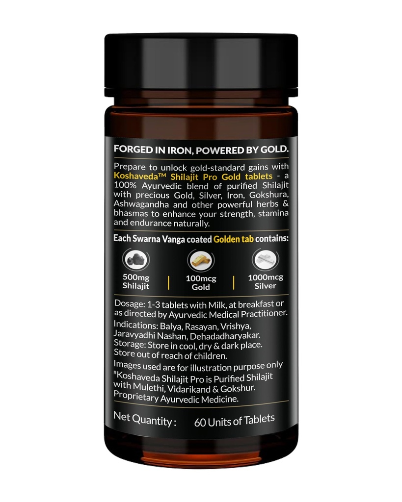 koshaveda-shilajit-pro-gold-60-tablets-71sW1JiaMNL.jpg