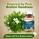 baidyanath-ayurved-brahmi-tablets-60-tab-71J9m6KpyLL.jpg