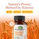 cordyceps-militaris-capsules-500mg-natur-81JAgAfedEL.jpg
