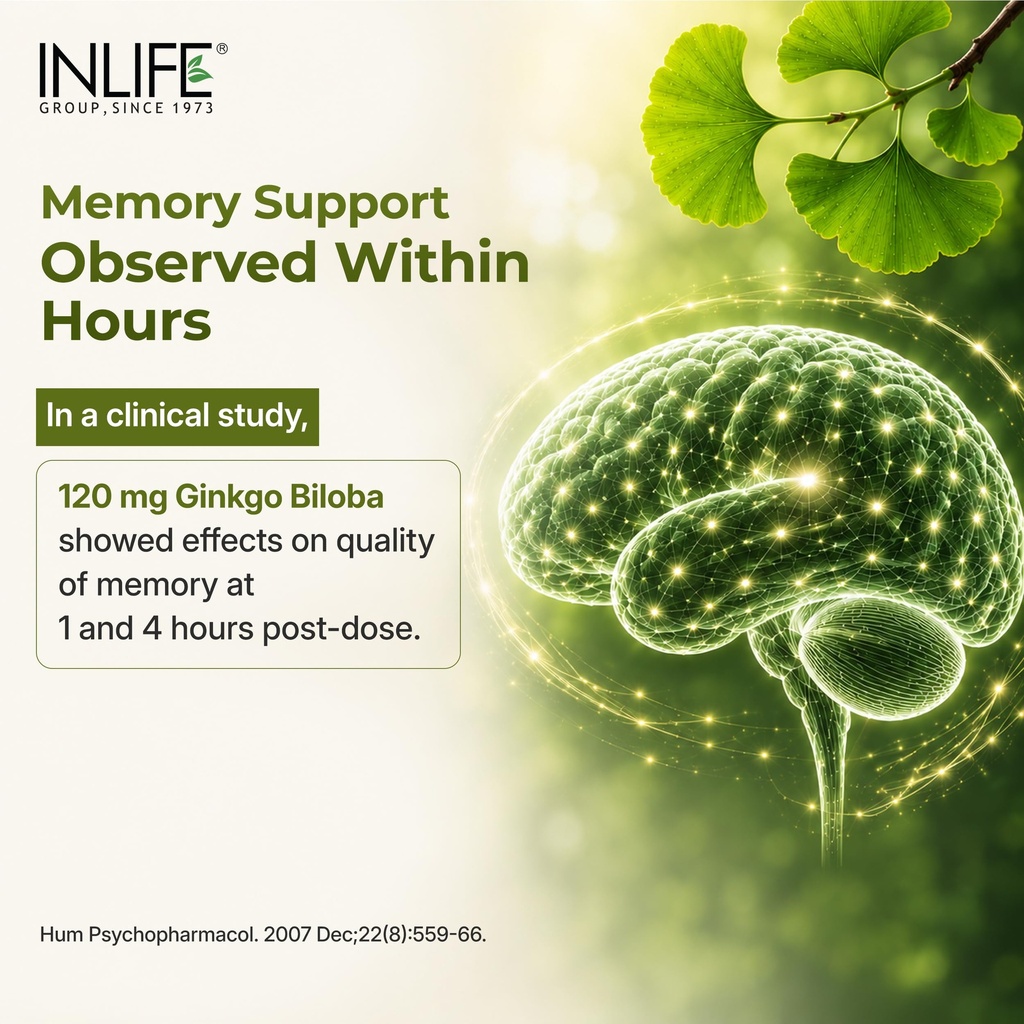 inlife-ginkgo-biloba-extract-120mg-nootr-81JRJE8QodL.jpg