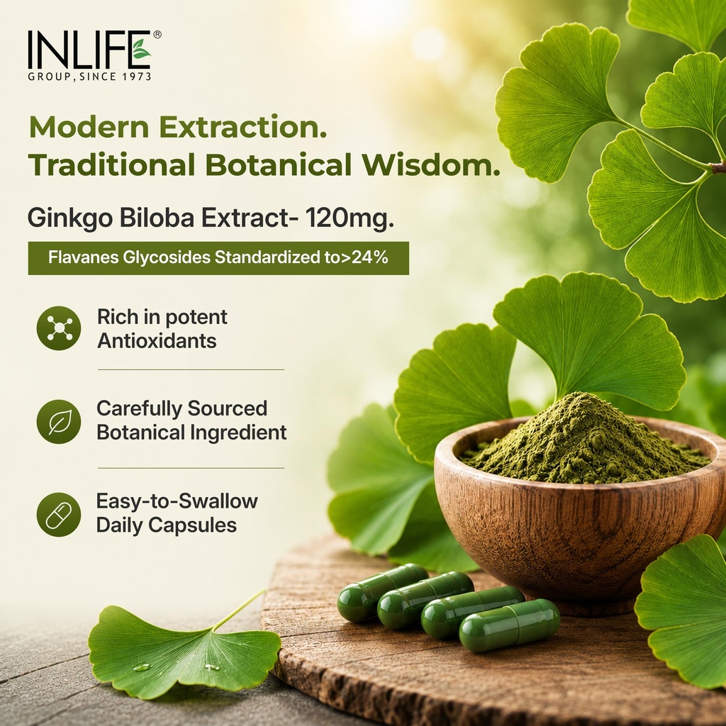 inlife-ginkgo-biloba-extract-120mg-nootr-81v4vs1uSDL.jpg