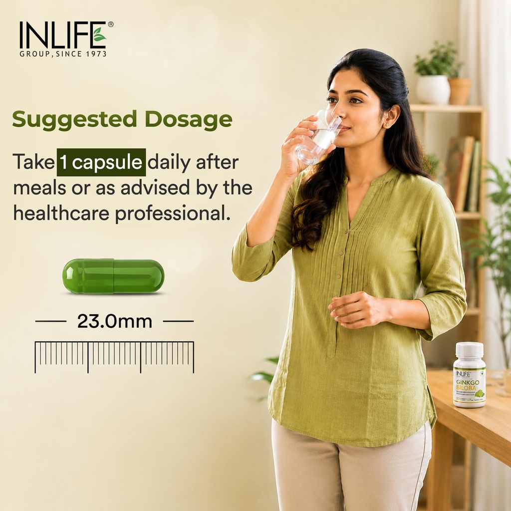 inlife-ginkgo-biloba-extract-120mg-nootr-81A8uSBtkjL.jpg