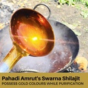 shilajit-10g-100-natural-himalayan-shila-913I56ewCiL.jpg