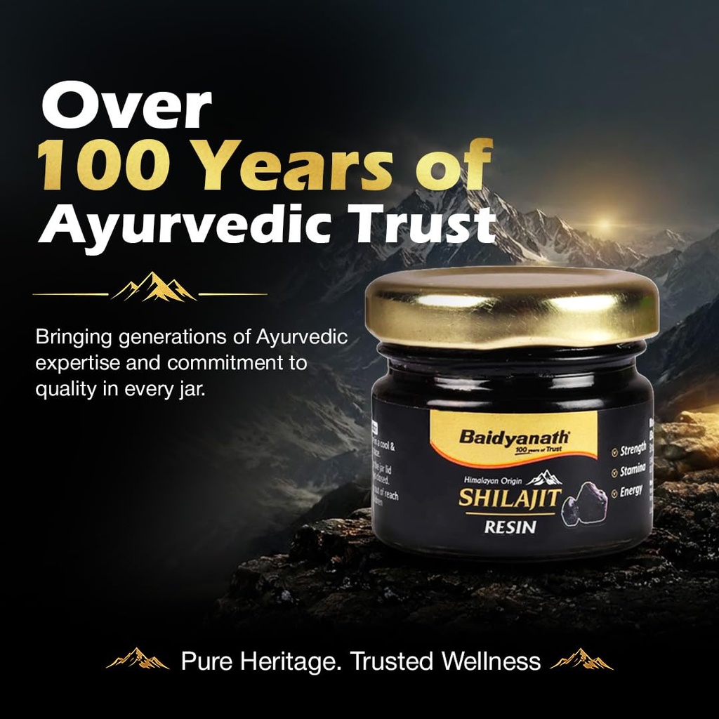 baidyanath-ayurved-himalayan-shilajit-re-61kNZxNAUiL.jpg
