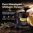 baidyanath-ayurved-himalayan-shilajit-re-71NhnlKG-QL.jpg