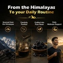 baidyanath-ayurved-himalayan-shilajit-re-71qlvMyk-bL.jpg
