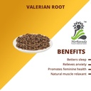 herbaveda-pure-valerian-root-200g-dried--61FuRsfpgqL.jpg