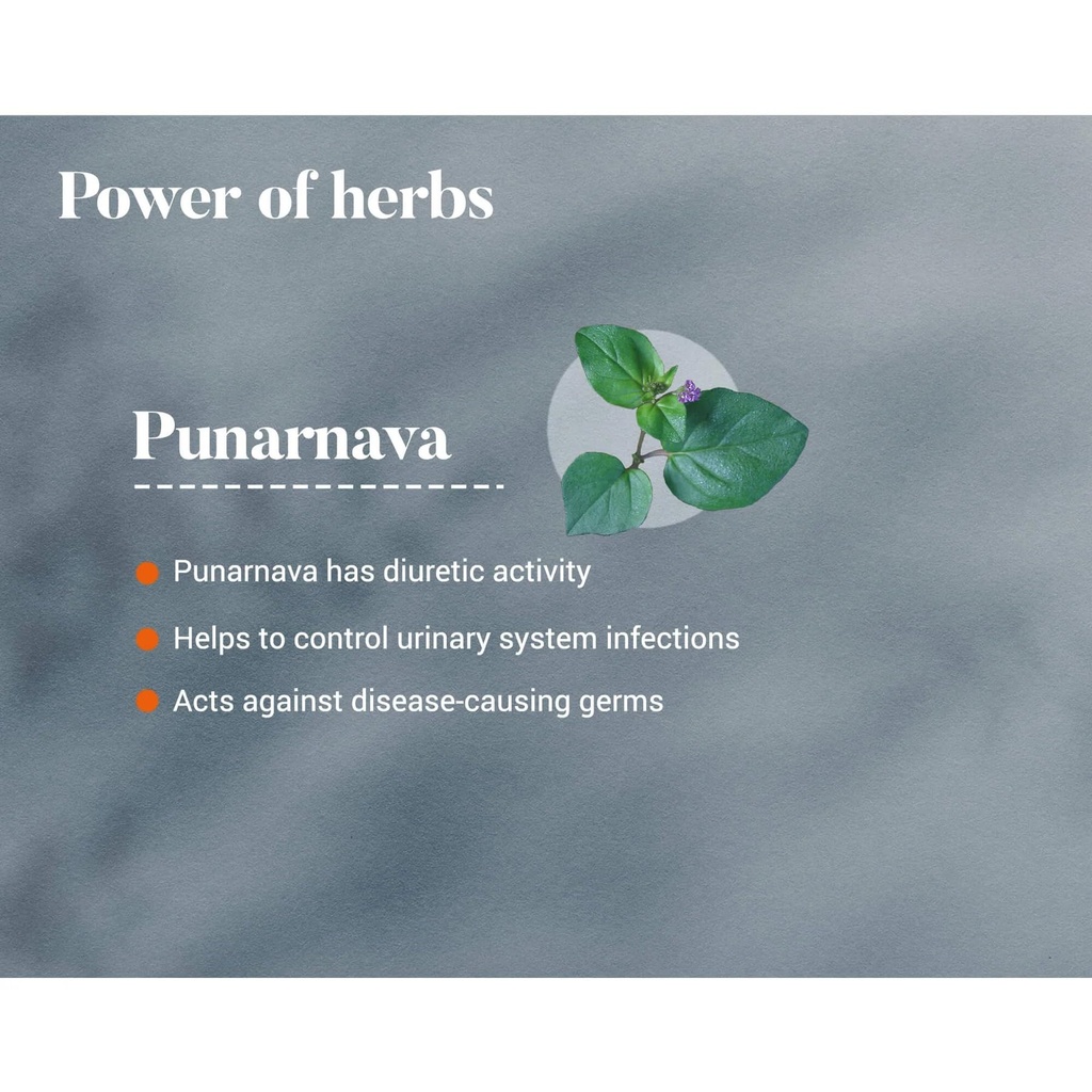 himalaya-punarnava-tablets-60-count-pack-714+1SLaDPL.jpg