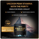 dabur-himalayan-shilajit-resin-15g-500mg-814OpMHLGWL.jpg