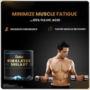 dabur-himalayan-shilajit-resin-15g-500mg-81rZMjpQzFL.jpg