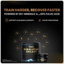 dabur-himalayan-shilajit-resin-15g-500mg-81hsafcBKYL.jpg