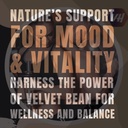 mucuna-pruriens-750-mg-capsules-standard-714i7khpgrL.jpg
