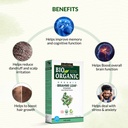 indus-valley-brahmi-leaf-powder-100g-nat-71MkQ+pj1DL.jpg