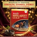 multani-shilajeet-gold-10-capsule-for-yo-81OMXK7+r0L.jpg