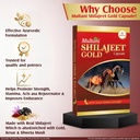 multani-shilajeet-gold-10-capsule-for-yo-81cSdddXECL.jpg
