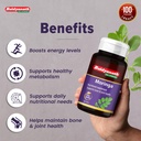 baidyanath-moringa-60-tablets-pack-of-2--81AKPqq7jhL.jpg