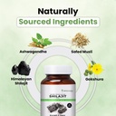 zeroharm-nano-himalayan-shilajit-with-as-61579efyunL.jpg