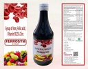 ferrosym-syrup-300ml-iron-syrup-with-vit-81evnzlRBOL.jpg