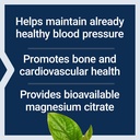 life-extension-magnesium-citrate-100-mg--71o+MB9AXUL.jpg