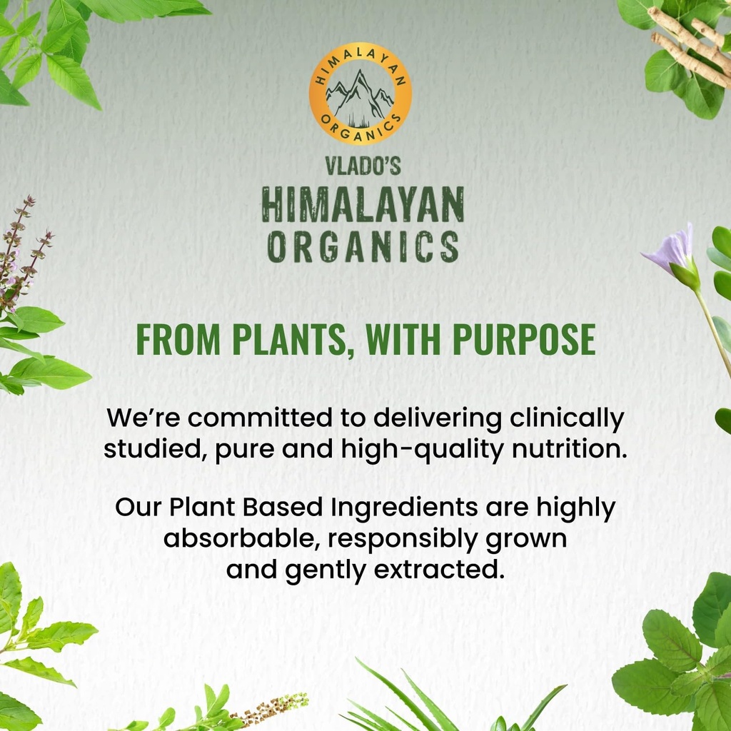 vlado-s-himalayan-organics-plant-based-i-71TJI5IEB9L.jpg