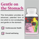 goa-nutritions-iron-tablets-with-folic-a-61Lf6ewG7mL.jpg