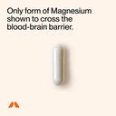 momentous-magtein-magnesium-l-threonate--61uM4-CDFGL.jpg