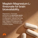 momentous-magtein-magnesium-l-threonate--81aVKriLu4L.jpg