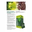 chlorophyll-detox-natural-detox-digestiv-81jDGGIe7SL.jpg
