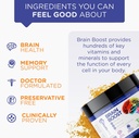 curcuminpro-brain-boost-cursplash-nootro-4.jpg