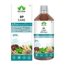 gargrishi-ayurveda-bp-care-juice-for-hea-815J+BxATrL.jpg