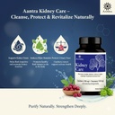 kidney-care-herbal-detox-support-with-pu-61FY1tDvcwL.jpg