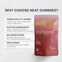neat-everyday-shilajit-gummies-with-maca-61PwXHFPykL.jpg